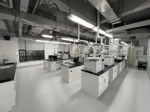 向地球深部進(jìn)軍 山東能源集團(tuán)深部煤炭數(shù)智化高效開(kāi)采成套技術(shù)與工程應(yīng)用引領(lǐng)煤炭工業(yè)高質(zhì)量發(fā)展